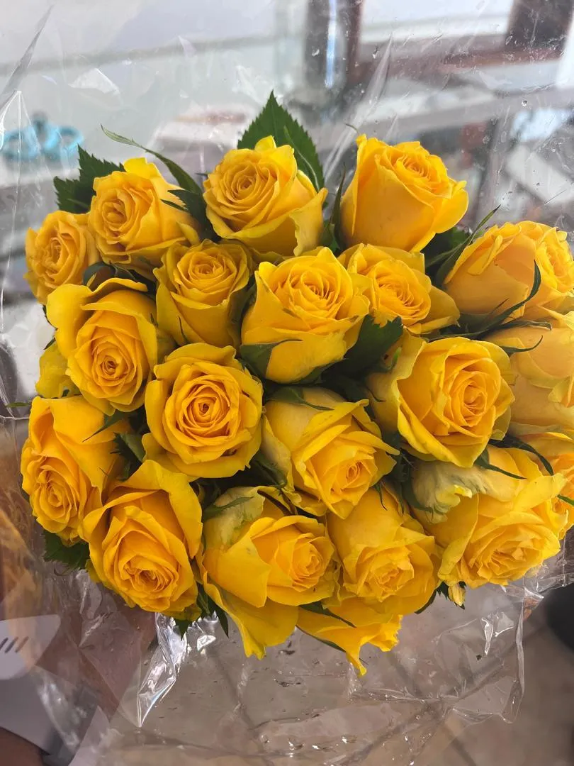 Roses Category